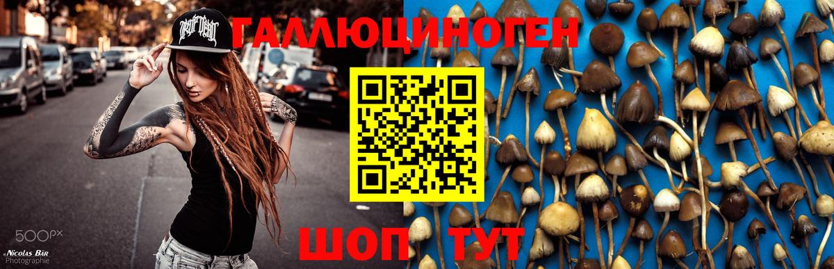 Галлюциногенные грибы GOLDEN TEACHER Артёмовский
